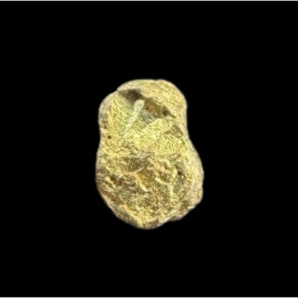 Arizona Gold Nugget - American Mined Gold - Genuine Gold Specimen 0.04 grams #51 - Picture 1 of 7